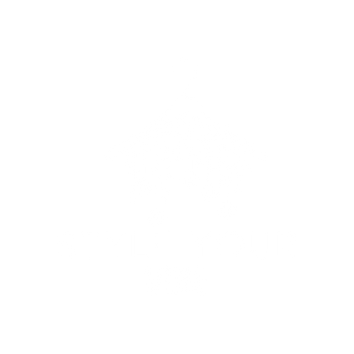 Style Your Vibe